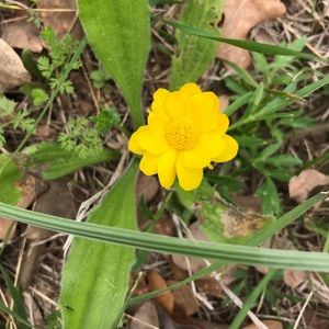 Meet your Posher, Ericka